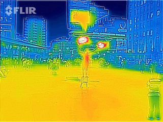 Illustration for article titled 16 Ways To Use FLIR's Incredibly Fun Predator-Vision iPhone Camera